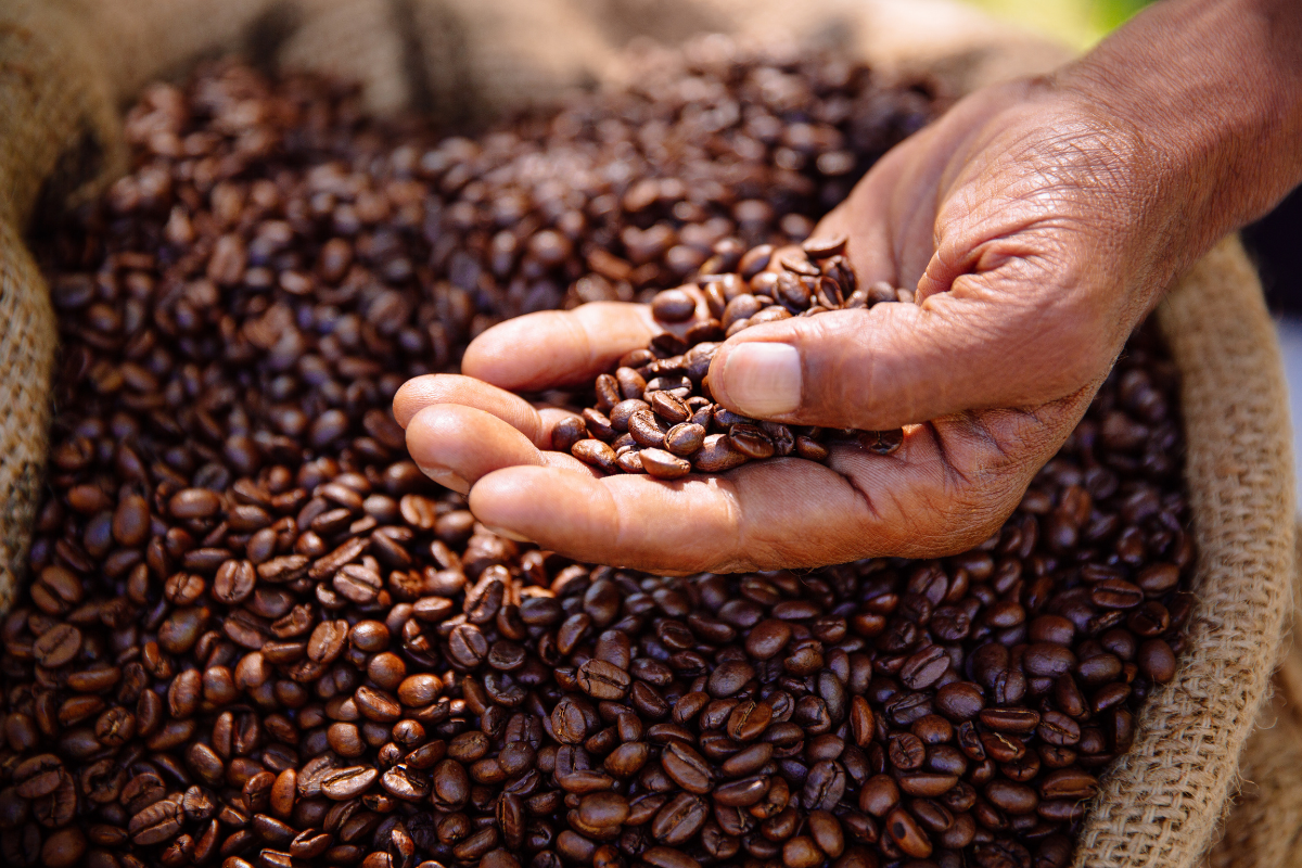 Introducing Symphony: From the Coffee Team