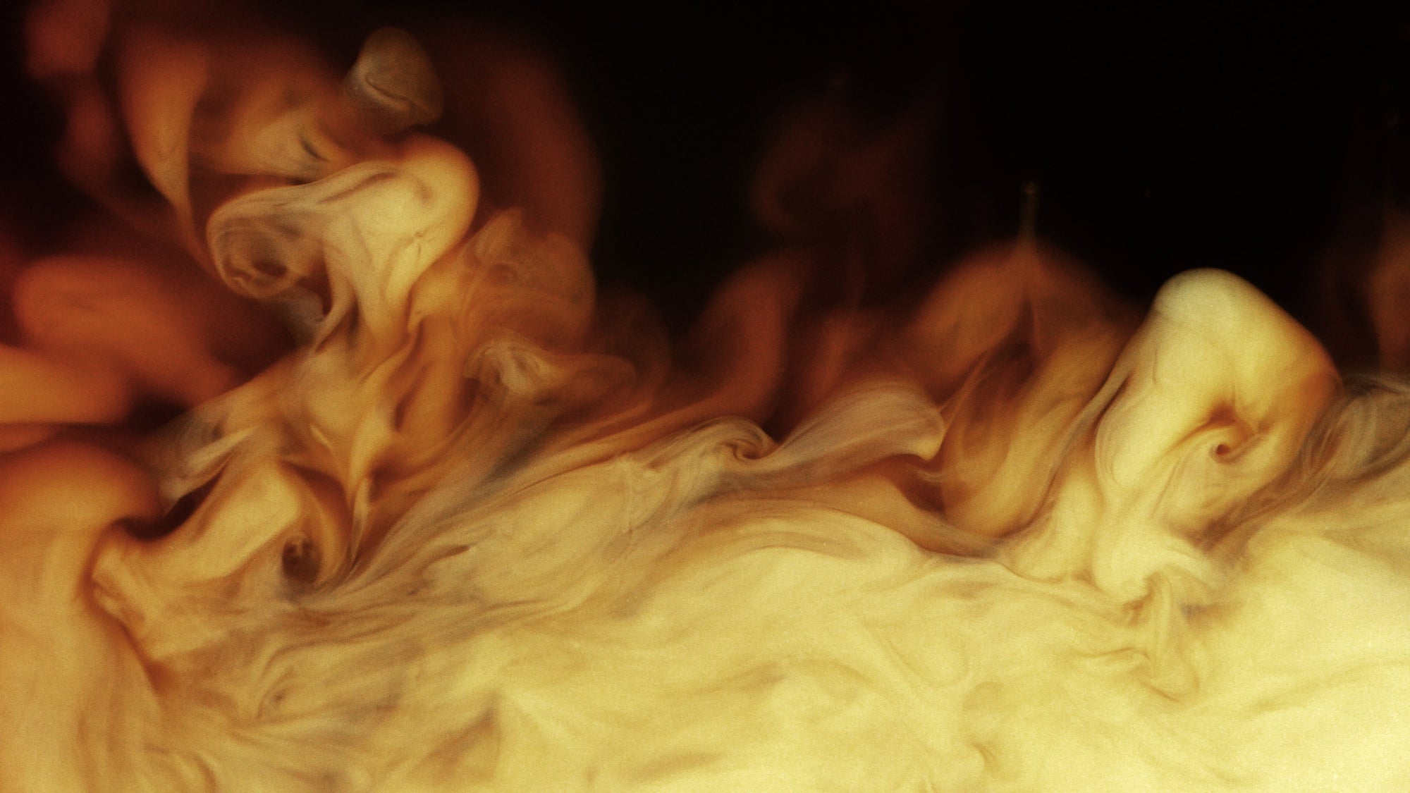 Rethinking Decaf: Why Coffee Without Caffeine Deserves Your Respect
