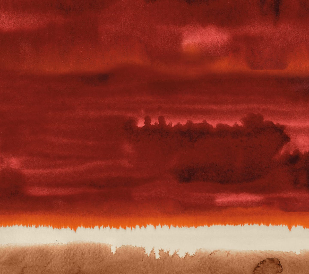 From Farm to Cup: How Cumulus Sources Its Coffee