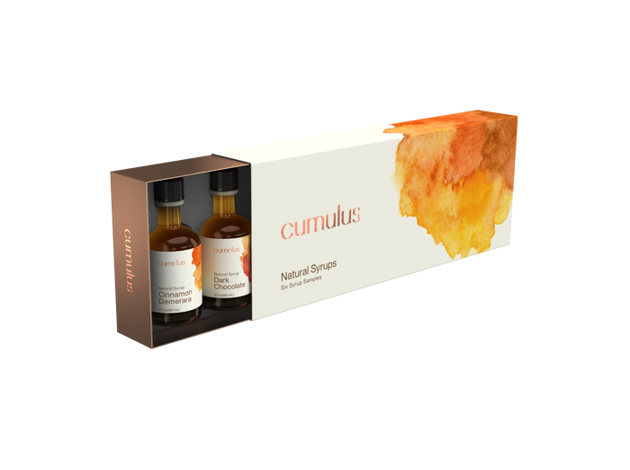 Artisanal Syrups Variety Pack