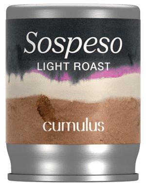 Sospeso