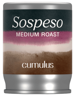 Sospeso